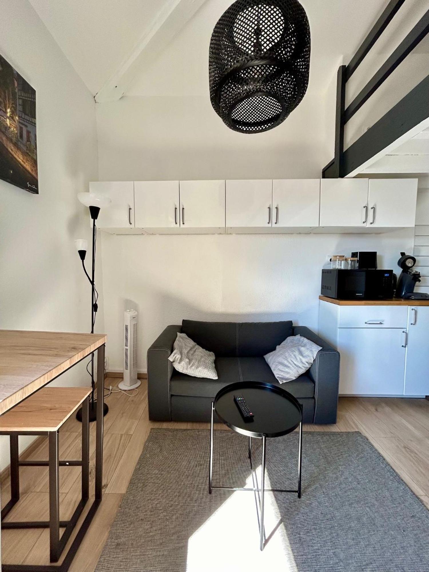 Le Duplex Toulousain - Tram Metro - Centre Ville Toulouse Ngoại thất bức ảnh